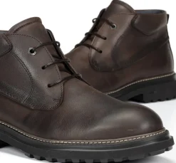 Fluchos LINCON F2055 Botín Marrón Online