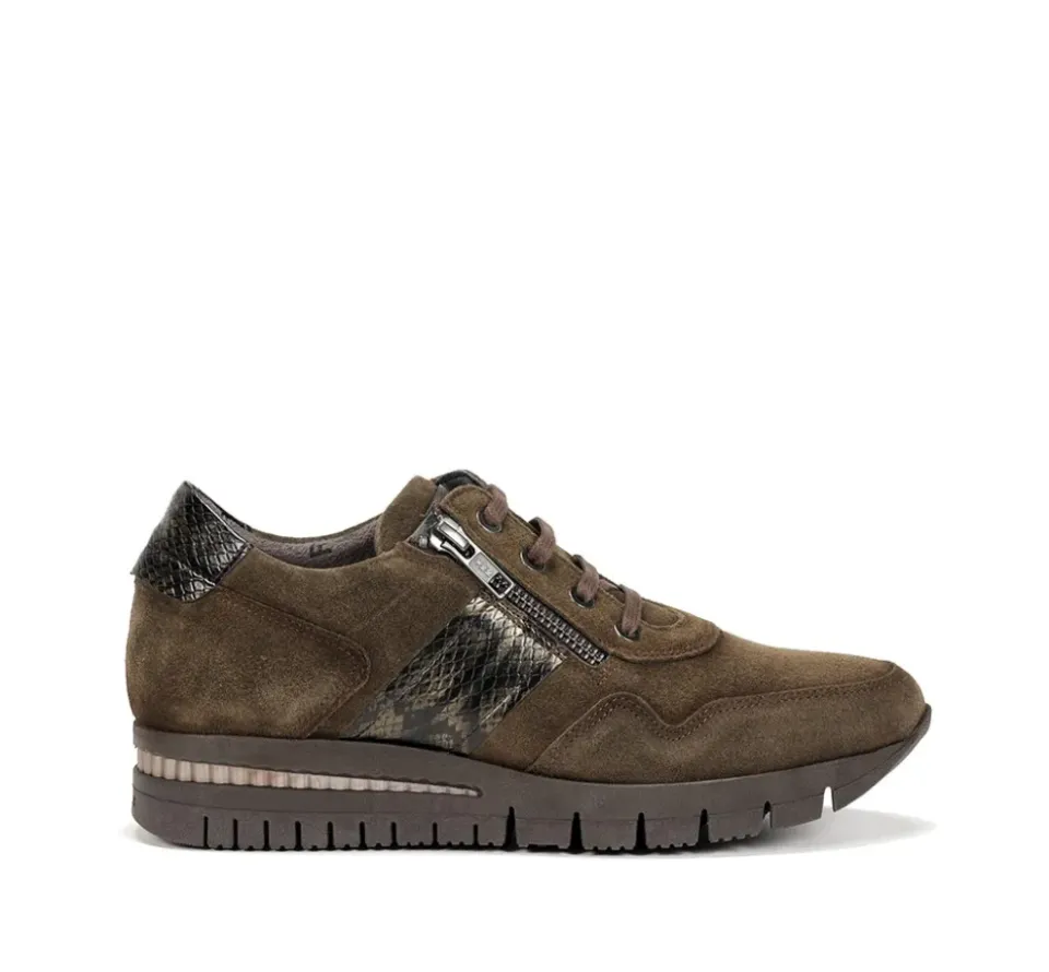 Fluchos MERYL F1619 Deportivo Verde Sale