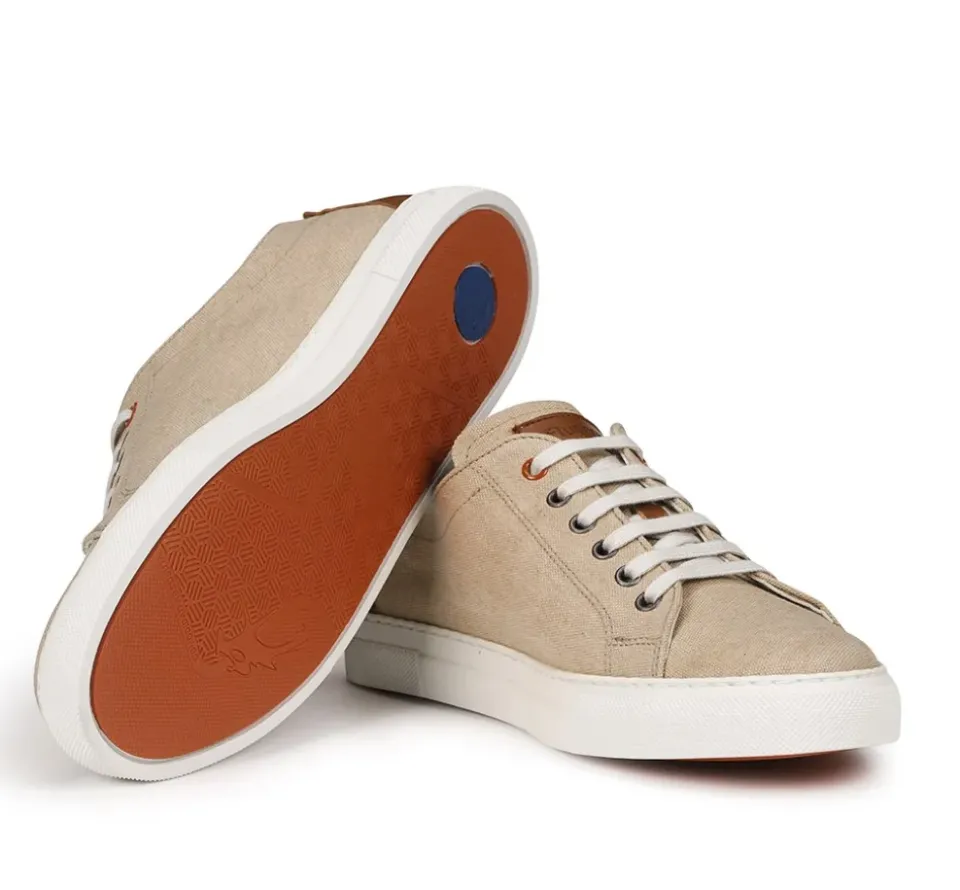 Fluchos NIKO F1415 Deportivo Taupe Online