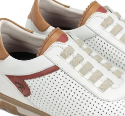Fluchos SANDER F1189 Deportivo Blanco Hot