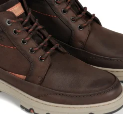 Fluchos SIGURD F1844 Botín Marrón Discount
